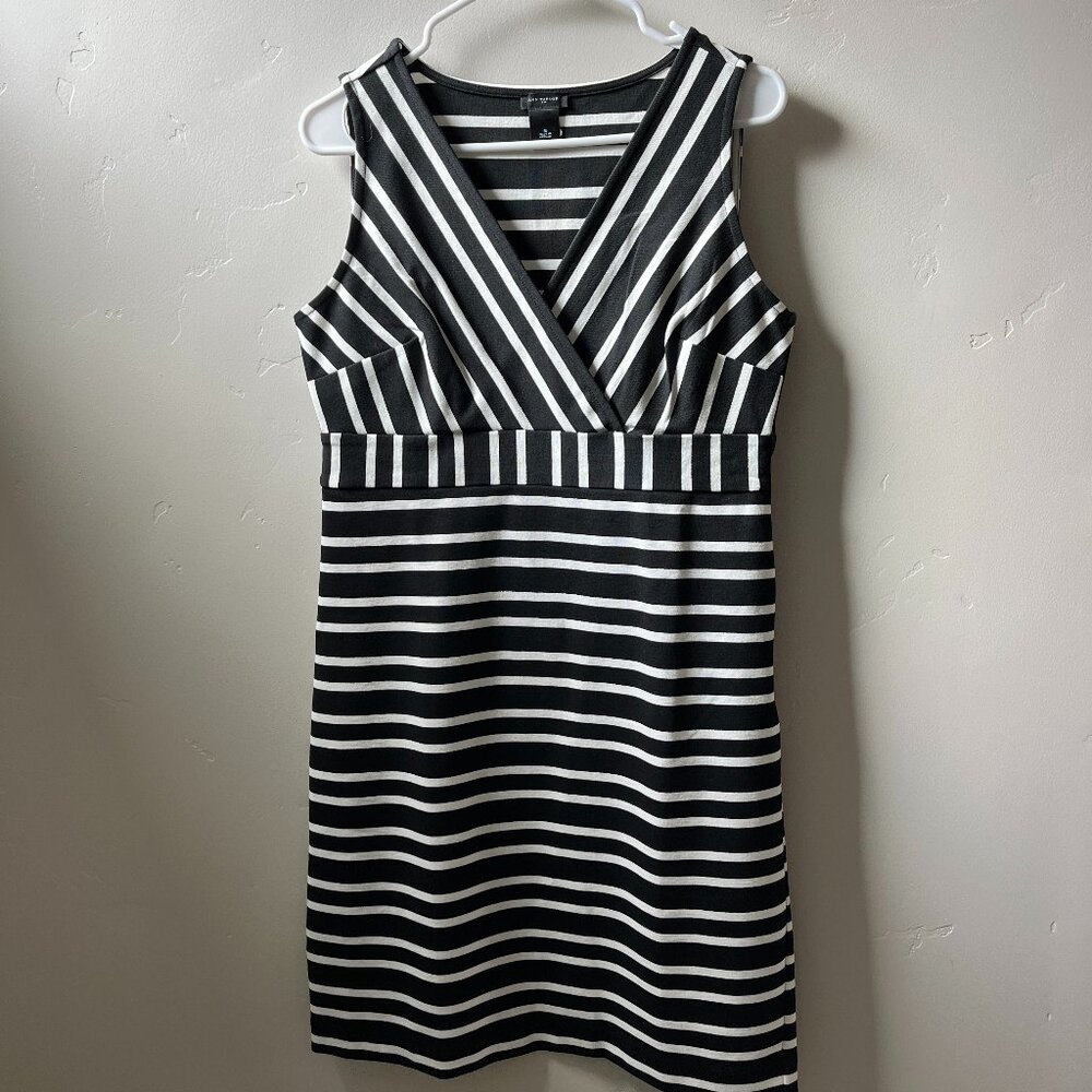 Ann Taylor Dress
